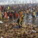 The National Green Tribunal has raised concerns over high faecal coliform bacteria levels in river water in Prayagraj as millions take a dip during the Maha Kumbh's Sangam. (Image: PTI)
